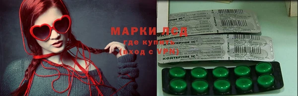 хмурый Тында