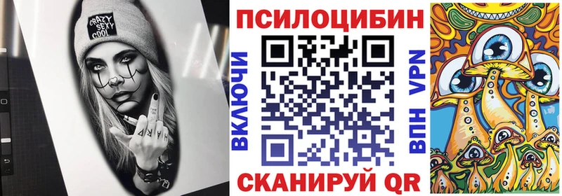 Купить где  Шагонар  Псилоцибиновые грибы мицелий 